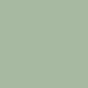 Portachupete silicona verde
